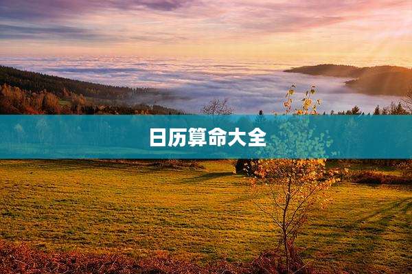 日历算命大全