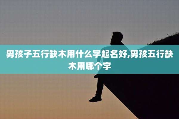男孩子五行缺木用什么字起名好,男孩五行缺木用哪个字