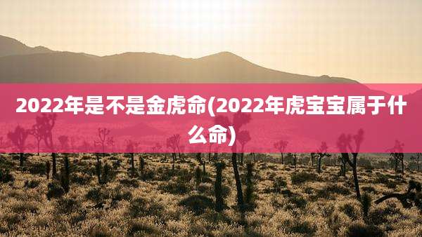 2022年是不是金虎命(2022年虎宝宝属于什么命)