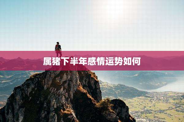 属猪下半年感情运势如何