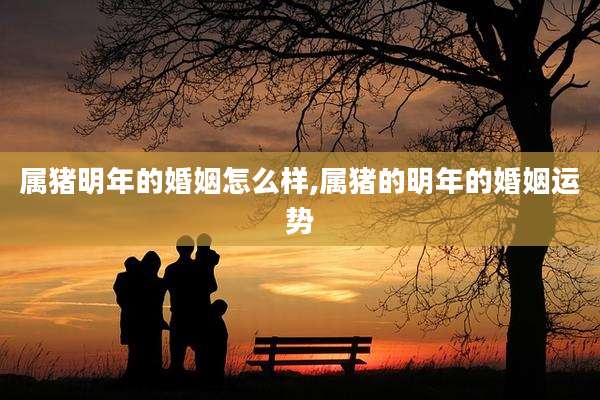 属猪明年的婚姻怎么样,属猪的明年的婚姻运势