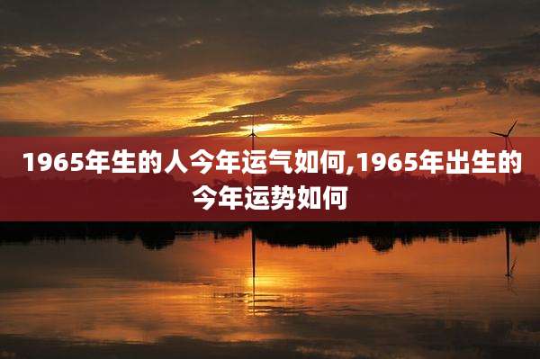1965年生的人今年运气如何,1965年出生的今年运势如何