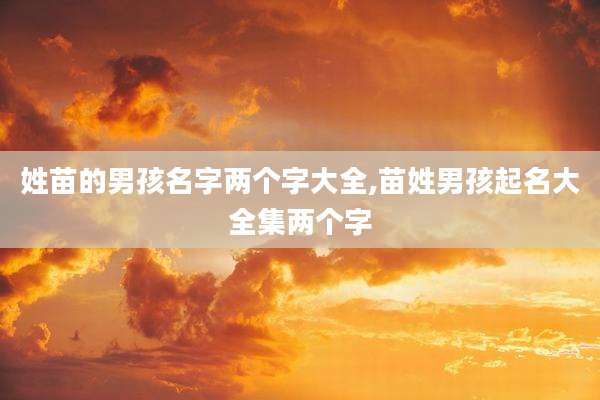 姓苗的男孩名字两个字大全,苗姓男孩起名大全集两个字