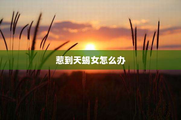 惹到天蝎女怎么办