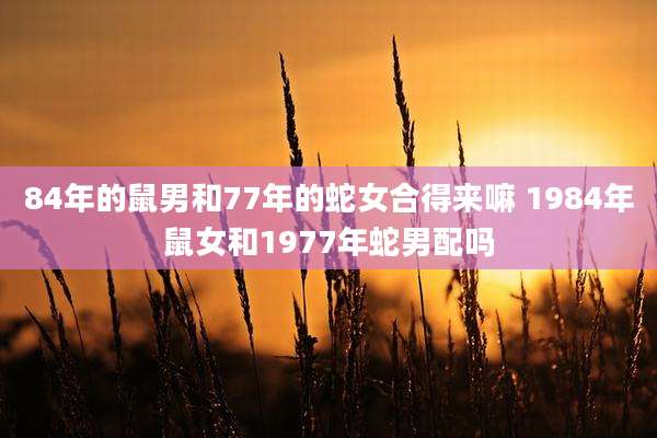84年的鼠男和77年的蛇女合得来嘛 1984年鼠女和1977年蛇男配吗