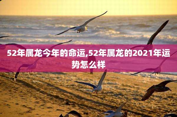 52年属龙今年的命运,52年属龙的2021年运势怎么样