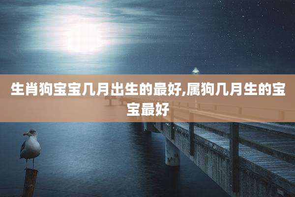 生肖狗宝宝几月出生的最好,属狗几月生的宝宝最好