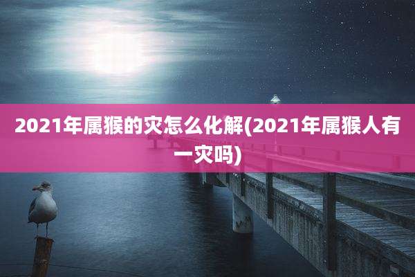 2021年属猴的灾怎么化解(2021年属猴人有一灾吗)