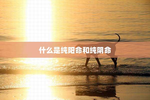 什么是纯阳命和纯阴命