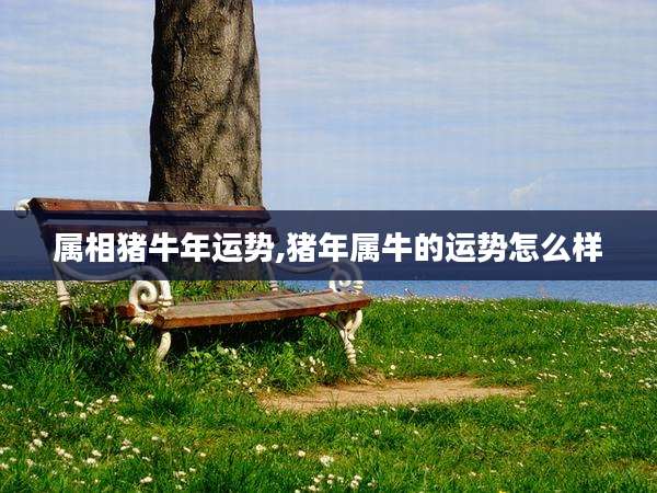 属相猪牛年运势,猪年属牛的运势怎么样