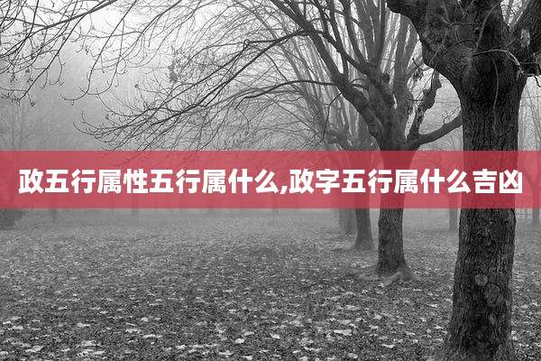 政五行属性五行属什么,政字五行属什么吉凶