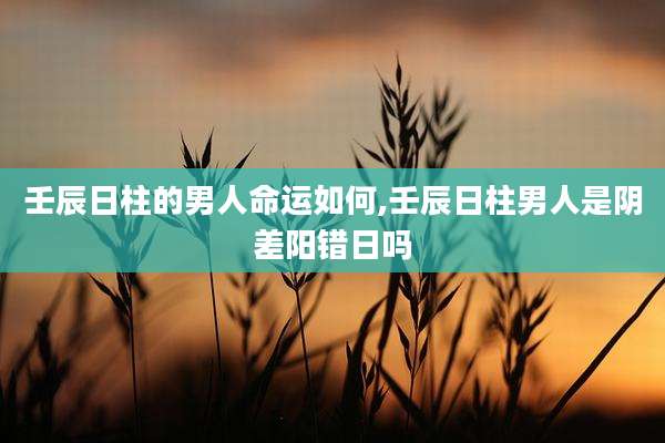 壬辰日柱的男人命运如何,壬辰日柱男人是阴差阳错日吗