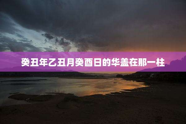 癸丑年乙丑月癸酉日的华盖在那一柱