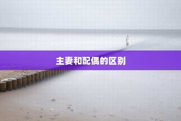 主妻和配偶的区别