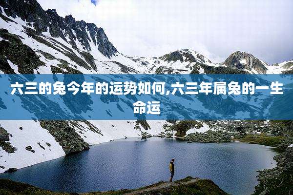 六三的兔今年的运势如何,六三年属兔的一生命运