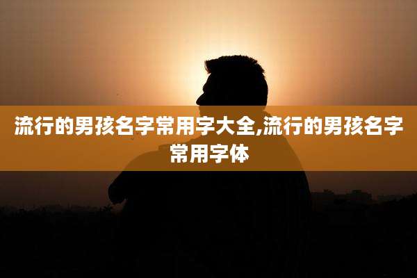 流行的男孩名字常用字大全,流行的男孩名字常用字体