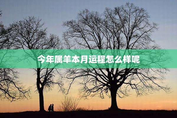 今年属羊本月运程怎么样呢