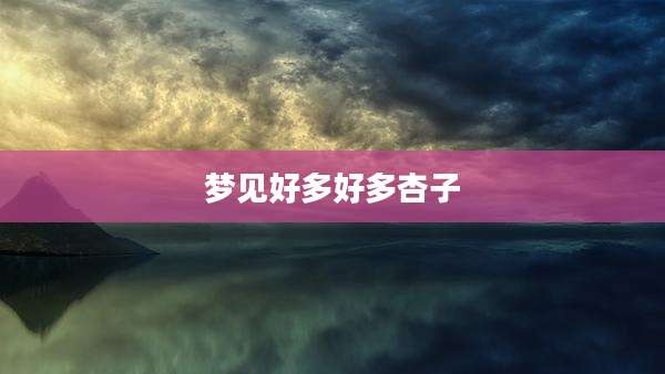 梦见好多好多杏子