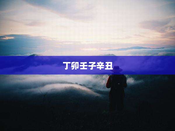 丁卯壬子辛丑