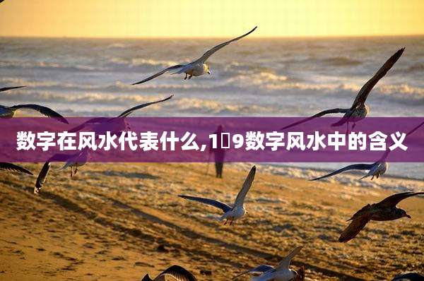 数字在风水代表什么,1∼9数字风水中的含义