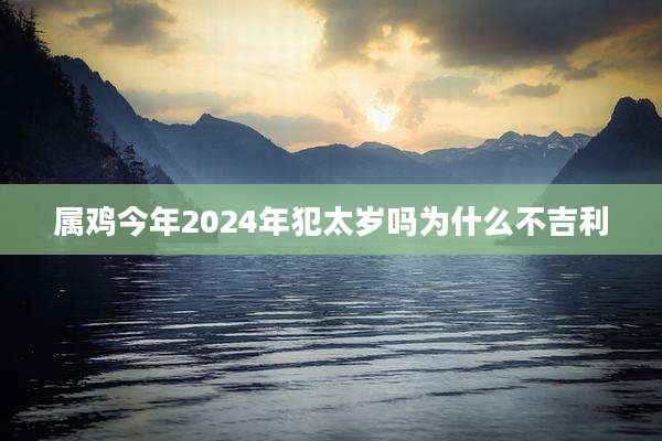 属鸡今年2024年犯太岁吗为什么不吉利