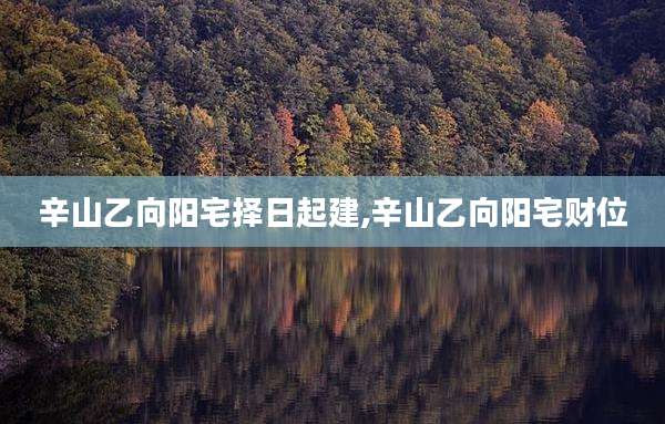 辛山乙向阳宅择日起建,辛山乙向阳宅财位