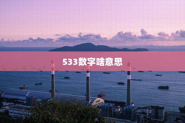 533数字啥意思