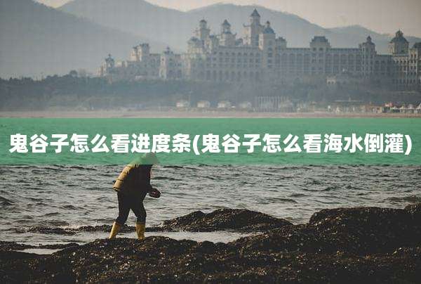 鬼谷子怎么看进度条(鬼谷子怎么看海水倒灌)