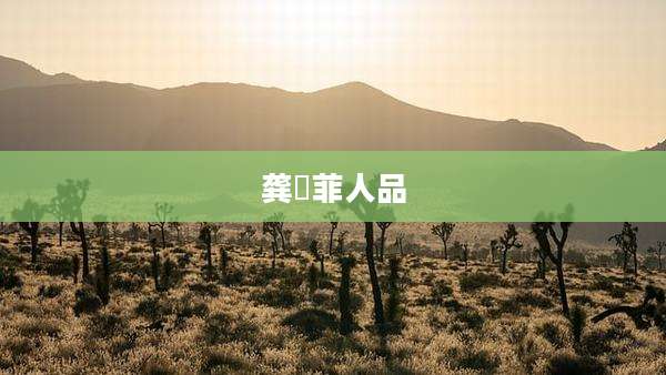 龚玥菲人品