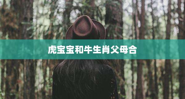 虎宝宝和牛生肖父母合