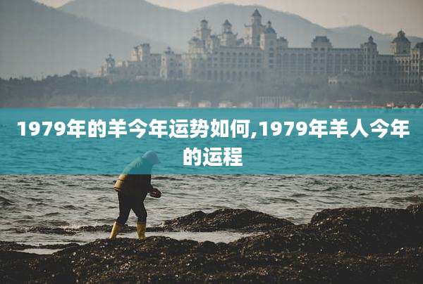1979年的羊今年运势如何,1979年羊人今年的运程