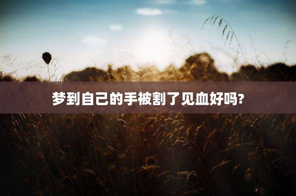 梦到自己的手被割了见血好吗?