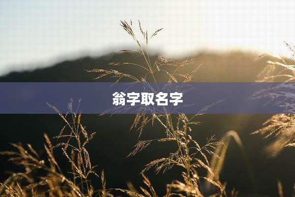 翁字取名字