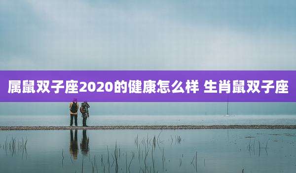 属鼠双子座2020的健康怎么样 生肖鼠双子座