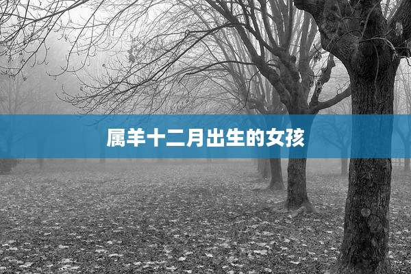 属羊十二月出生的女孩