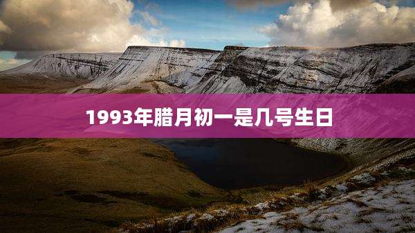 1993年腊月初一是几号生日