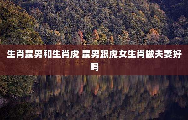 生肖鼠男和生肖虎 鼠男跟虎女生肖做夫妻好吗