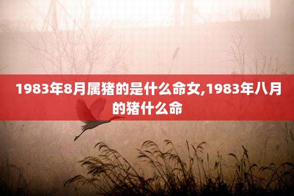 1983年8月属猪的是什么命女,1983年八月的猪什么命