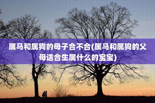 属马和属狗的母子合不合(属马和属狗的父母适合生属什么的宝宝)