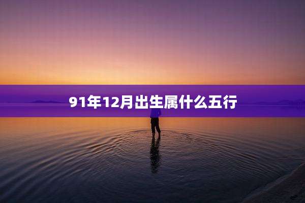 91年12月出生属什么五行
