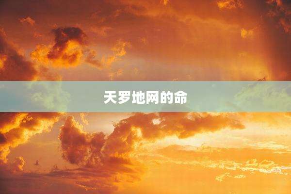 天罗地网的命