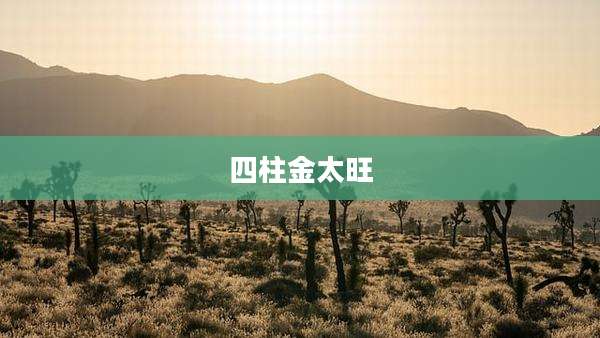 四柱金太旺