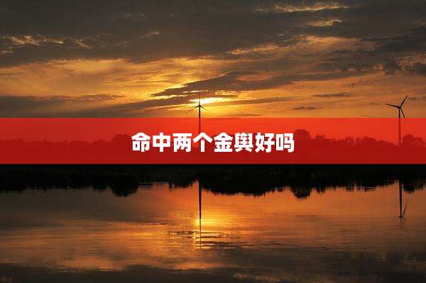 命中两个金舆好吗