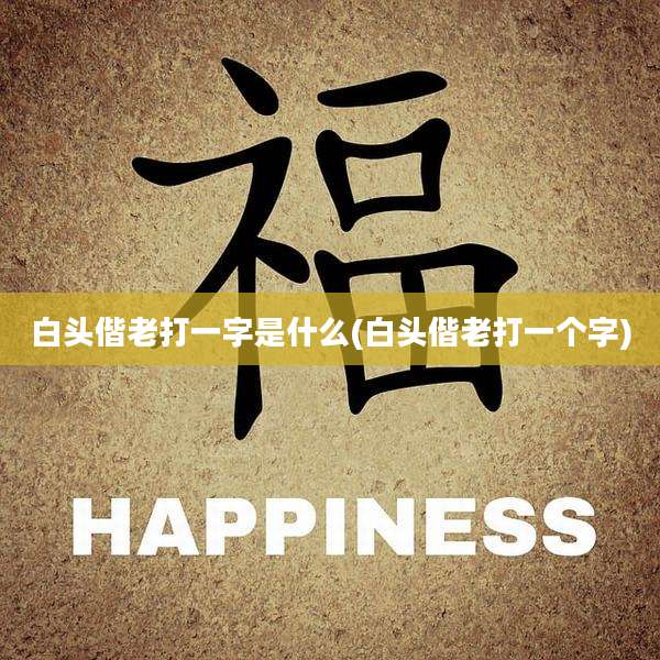 白头偕老打一字是什么(白头偕老打一个字)