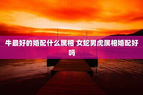 牛最好的婚配什么属相 女蛇男虎属相婚配好吗