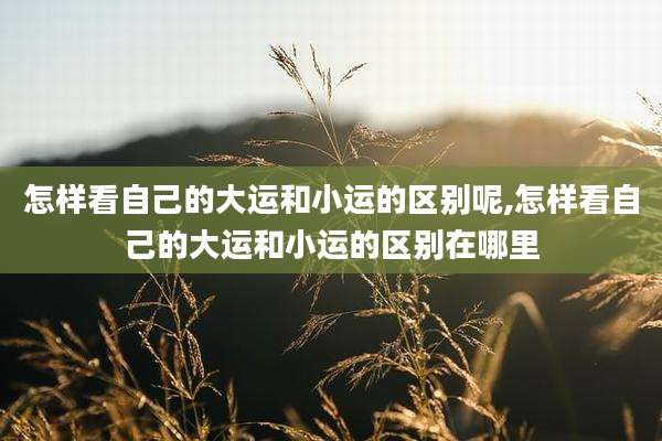 怎样看自己的大运和小运的区别呢,怎样看自己的大运和小运的区别在哪里