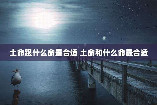 土命跟什么命最合适 土命和什么命最合适