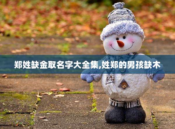郑姓缺金取名字大全集,姓郑的男孩缺木