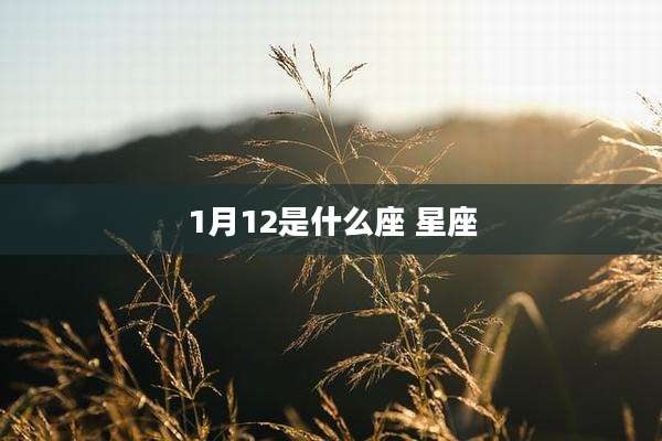 1月12是什么座 星座