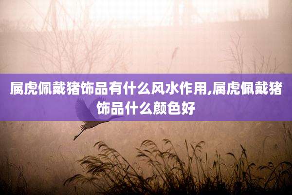 属虎佩戴猪饰品有什么风水作用,属虎佩戴猪饰品什么颜色好